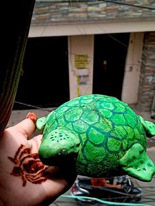 Clay Turtle