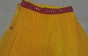 Gorgeous Lehenga Choli