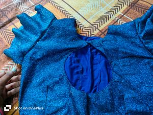 Party Wear Princess Blouse
