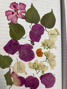 dry flowers for resin art