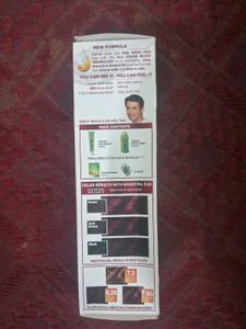 Garnier Cranberry Red Hair Color