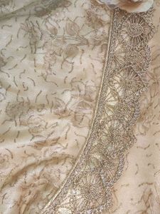 Elegant Ethnic Gown