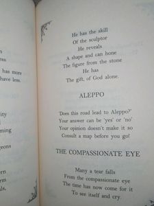 &#39;RUMI&#39; BOOK