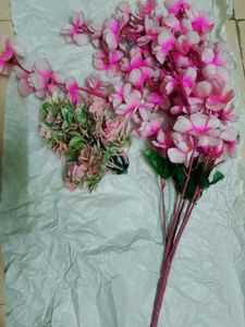 FLOWER 🌺SWEET HOME