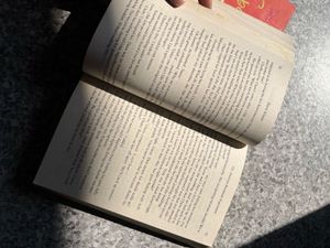 Elena Armas Book Duo