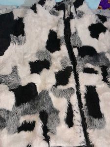 Tiger Print Jacket