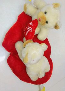 New Teddy Bear 🧸 With Love 😘 Sms