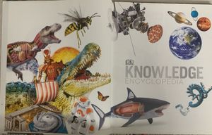 Knowledge Encyclopedia