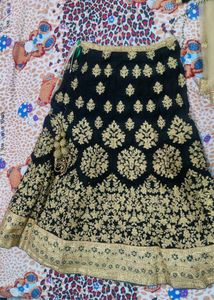 Elegant Lehenga Choli Set