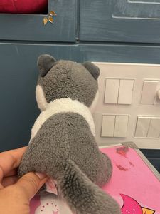 Cute Plush Cat Toy