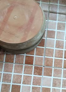 Set Of 6 Planter Plate