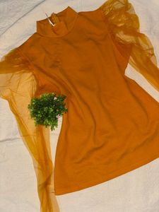 Puffy Sleeved Top