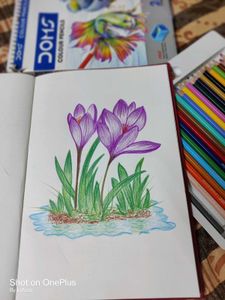 Floral Sketch