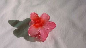 Set of 6 -Hair Claw Clips