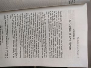 Through The Looking Glass