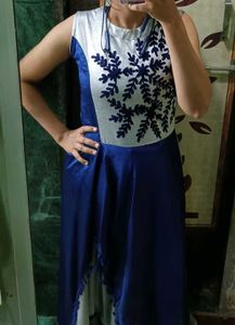 Stylish Blue & Silver Dress