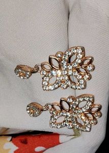 ✨Sparkling Floral Drop Earrings😻💋