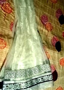 Elegant Embellished Lehanga Skirt