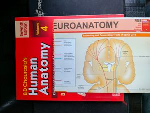 SALE!!!! BD  CHAURASIA Human Anatomy