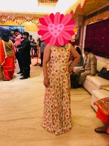 Elegant Ethnic Gown