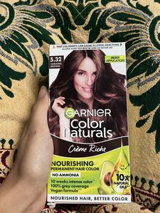 Garnier Caramel Brown Hair Color
