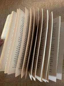 Percy Jackson, The Son Of Neptune