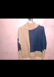 Cozy Two-Tone Turtleneck