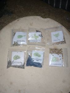 50 Types of Vegetable Plant Seeds