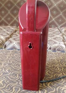 Pigeon Emergency Light