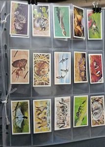 Vintage Collectible Cards