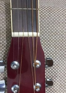 Saraswati Enterprises&#39;s Rocks rt1c rds Acoustic Steel-String Guitar