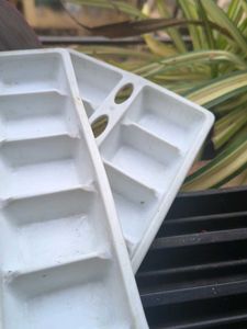 Ice Cube Trays - Set of 2