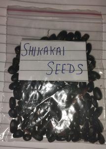 Shikakai Seeds Pack