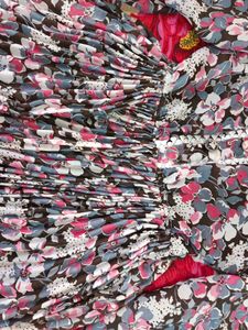 Nice Frock , Bell Astin, And Elastic Is Their