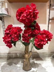 Red Plant