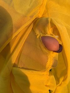 Yellow Dress Bodycon