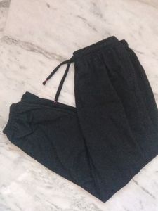 Daily Wear Joggers