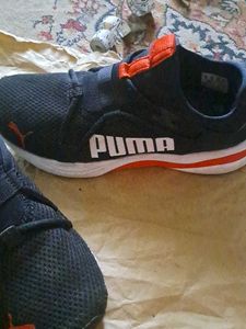 Puma Light Weight Sport Shoes