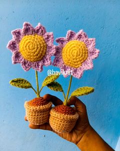 Purple Sunflower