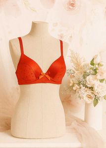 🇳🇿💫 Imported Stuff Paded Bra