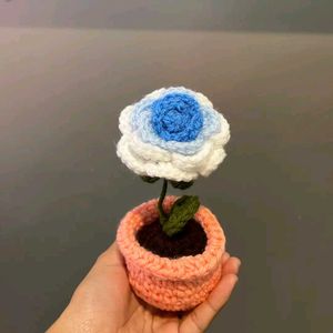 Chrochet Flower Pot