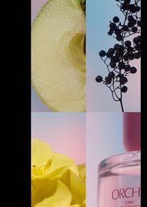 Zara Orchid Perfume