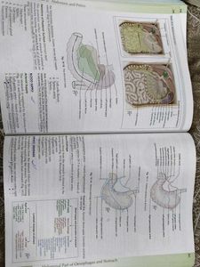 Human Anatomy Vol. 2 with free workbook