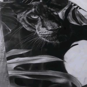 Handmade Drawing  Of Wildlife Leapord.