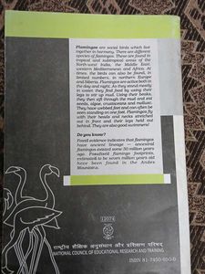 English Book