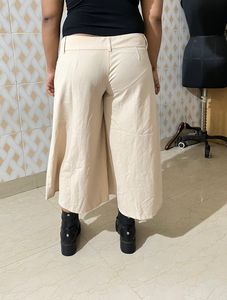 Plazo Pant