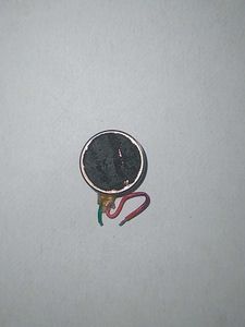 Vibrating Mini Motor