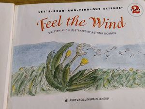 Feel the Wind