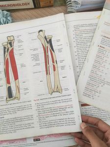 Anatomy MBBS 1st Year Book
