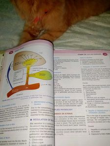Physiology for Dental Students